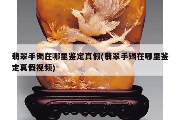 翡翠手镯在哪里鉴定真假(翡翠手镯在哪里鉴定真假视频)