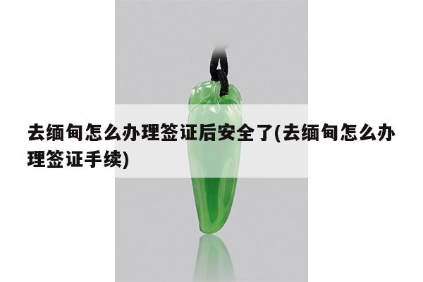 去缅甸怎么办理签证后安全了(去缅甸怎么办理签证手续)
