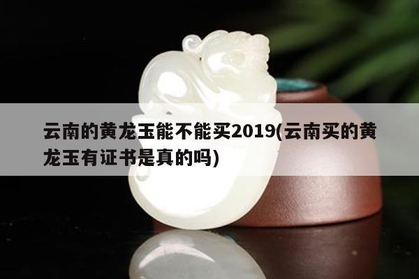 云南的黄龙玉能不能买2019(云南买的黄龙玉有证书是真的吗)