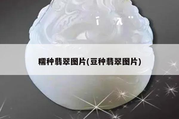 糯种翡翠图片(豆种翡翠图片)