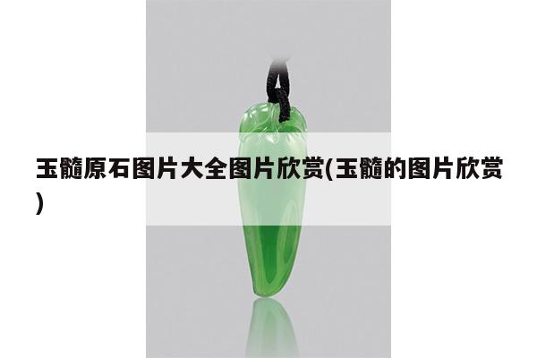 玉髓原石图片大全图片欣赏(玉髓的图片欣赏)