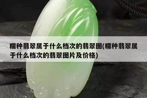 糯种翡翠属于什么档次的翡翠图(糯种翡翠属于什么档次的翡翠图片及价格)