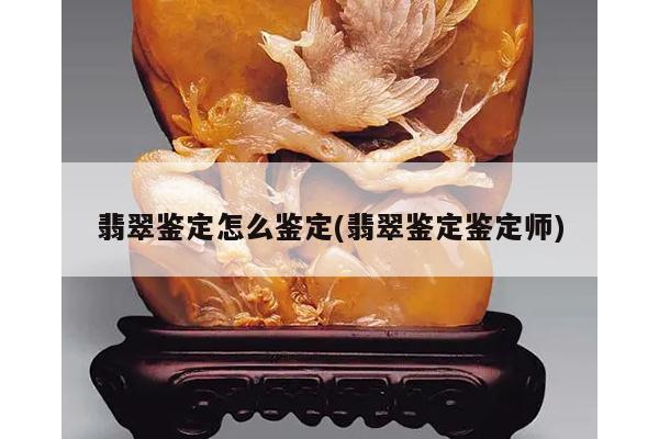 翡翠鉴定怎么鉴定(翡翠鉴定鉴定师)