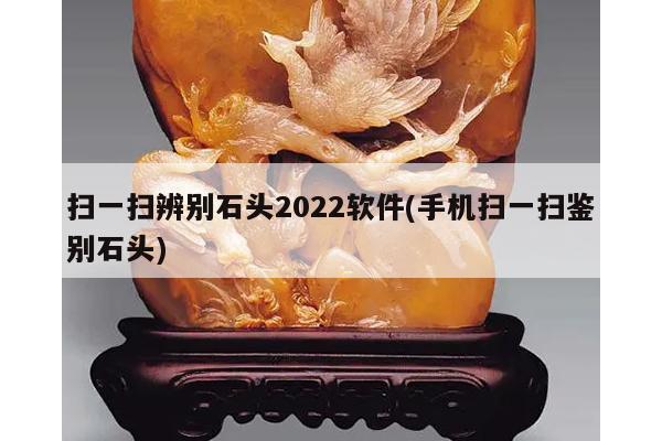 扫一扫辨别石头2022软件(手机扫一扫鉴别石头)