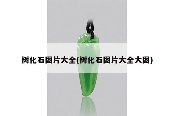 树化石图片大全(树化石图片大全大图)