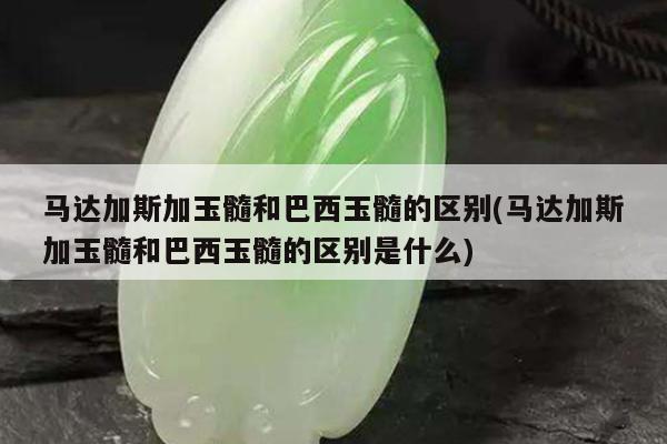 马达加斯加玉髓和巴西玉髓的区别(马达加斯加玉髓和巴西玉髓的区别是什么)