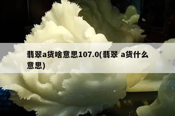翡翠a货啥意思107.0(翡翠 a货什么意思)