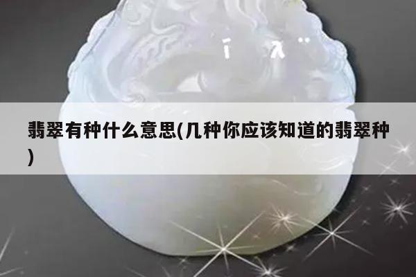翡翠有种什么意思(几种你应该知道的翡翠种)