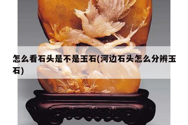 怎么看石头是不是玉石(河边石头怎么分辨玉石)