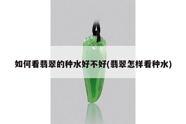 如何看翡翠的种水好不好(翡翠怎样看种水)