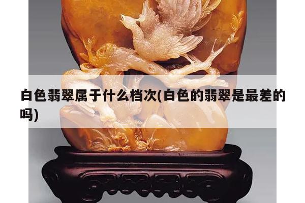 白色翡翠属于什么档次(白色的翡翠是最差的吗)