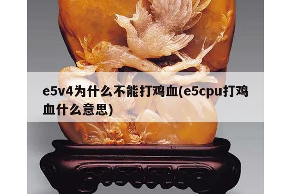 e5v4为什么不能打鸡血(e5cpu打鸡血什么意思)