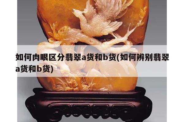 如何肉眼区分翡翠a货和b货(如何辨别翡翠a货和b货)