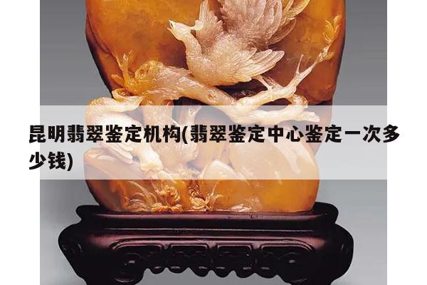 昆明翡翠鉴定机构(翡翠鉴定中心鉴定一次多少钱)