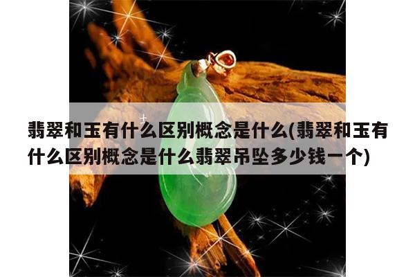 翡翠和玉有什么区别概念是什么(翡翠和玉有什么区别概念是什么翡翠吊坠多少钱一个)