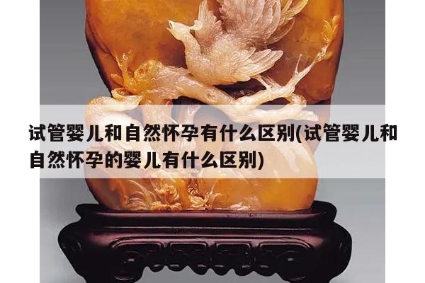 试管婴儿和自然怀孕有什么区别(试管婴儿和自然怀孕的婴儿有什么区别)