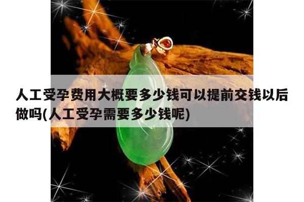 人工受孕费用大概要多少钱可以提前交钱以后做吗(人工受孕需要多少钱呢)