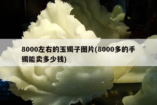 8000左右的玉镯子图片(8000多的手镯能卖多少钱)