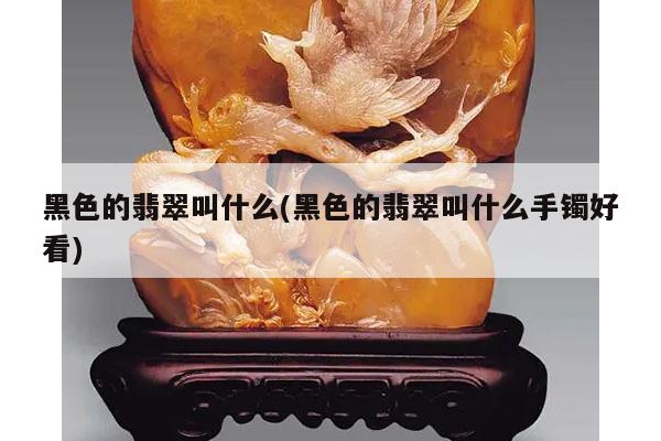 黑色的翡翠叫什么(黑色的翡翠叫什么手镯好看)