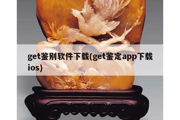 get鉴别软件下载(get鉴定app下载ios)