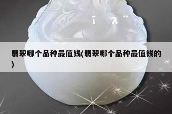 翡翠哪个品种最值钱(翡翠哪个品种最值钱的)