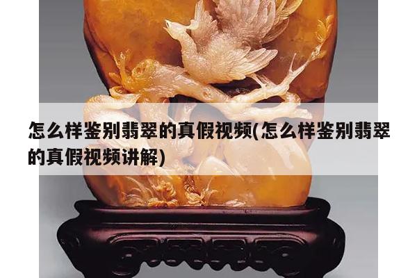 怎么样鉴别翡翠的真假视频(怎么样鉴别翡翠的真假视频讲解)