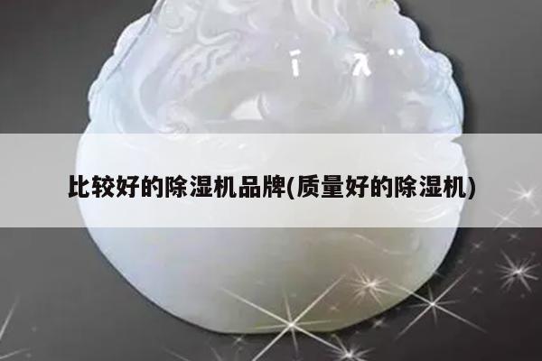 比较好的除湿机品牌(质量好的除湿机)