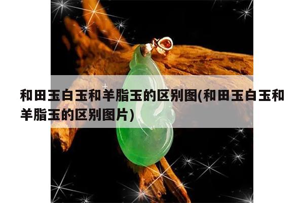 和田玉白玉和羊脂玉的区别图(和田玉白玉和羊脂玉的区别图片)