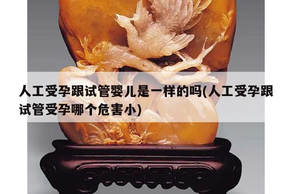 人工受孕跟试管婴儿是一样的吗(人工受孕跟试管受孕哪个危害小)