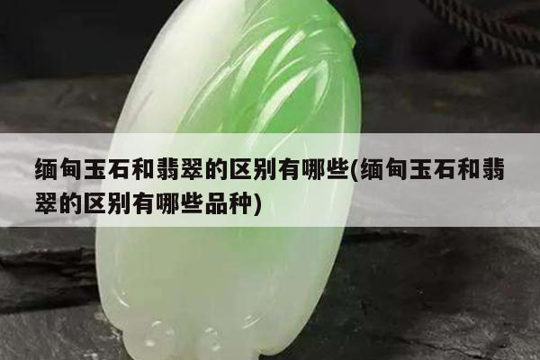 缅甸玉石和翡翠的区别有哪些(缅甸玉石和翡翠的区别有哪些品种)