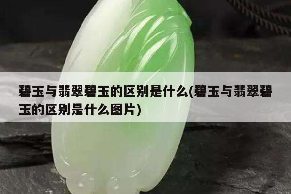 碧玉与翡翠碧玉的区别是什么(碧玉与翡翠碧玉的区别是什么图片)