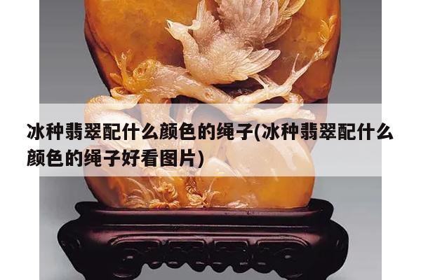 冰种翡翠配什么颜色的绳子(冰种翡翠配什么颜色的绳子好看图片)