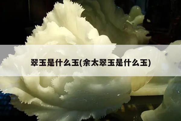 翠玉是什么玉(余太翠玉是什么玉)