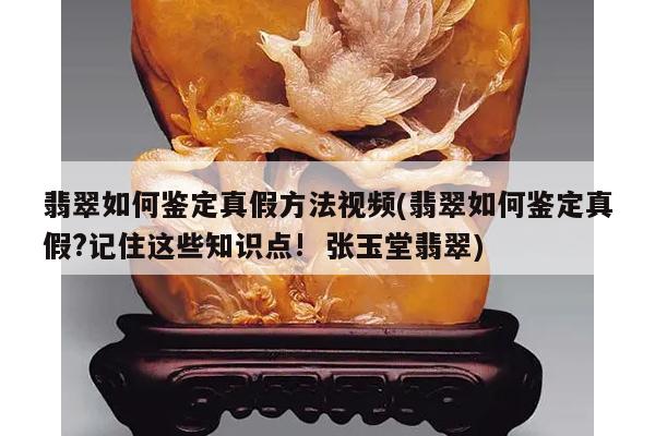 翡翠如何鉴定真假方法视频(翡翠如何鉴定真假?记住这些知识点! 张玉堂翡翠)