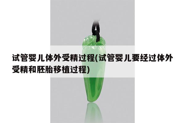 试管婴儿体外受精过程(试管婴儿要经过体外受精和胚胎移植过程)