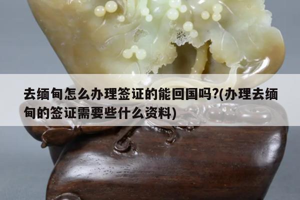 去缅甸怎么办理签证的能回国吗?(办理去缅甸的签证需要些什么资料)
