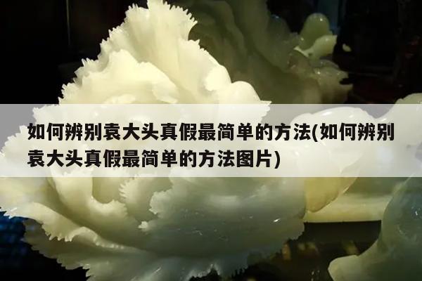 如何辨别袁大头真假最简单的方法(如何辨别袁大头真假最简单的方法图片)