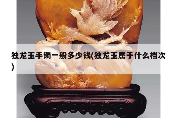 独龙玉手镯一般多少钱(独龙玉属于什么档次)