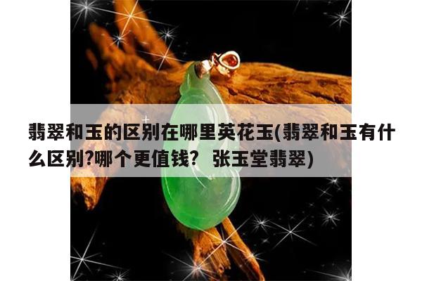 翡翠和玉的区别在哪里英花玉(翡翠和玉有什么区别?哪个更值钱? 张玉堂翡翠)