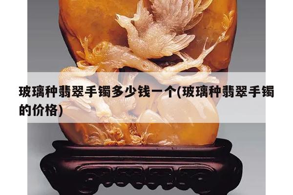 玻璃种翡翠手镯多少钱一个(玻璃种翡翠手镯的价格)