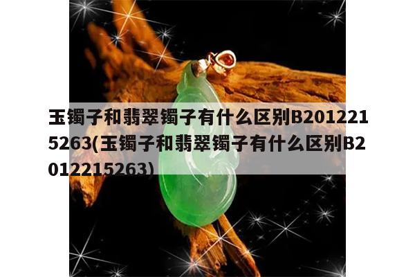 玉镯子和翡翠镯子有什么区别B2012215263(玉镯子和翡翠镯子有什么区别B2012215263)