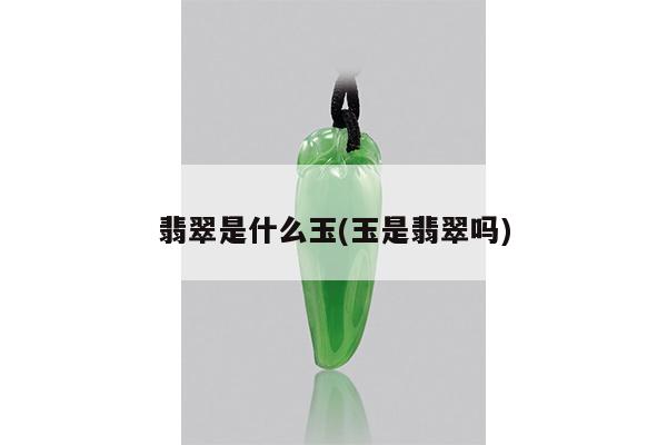 翡翠是什么玉(玉是翡翠吗)