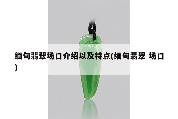 缅甸翡翠场口介绍以及特点(缅甸翡翠 场口)
