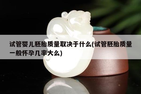 试管婴儿胚胎质量取决于什么(试管胚胎质量一般怀孕几率大么)