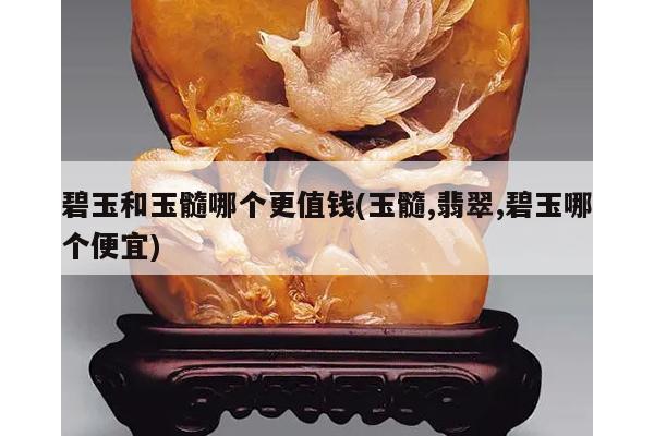 碧玉和玉髓哪个更值钱(玉髓,翡翠,碧玉哪个便宜)