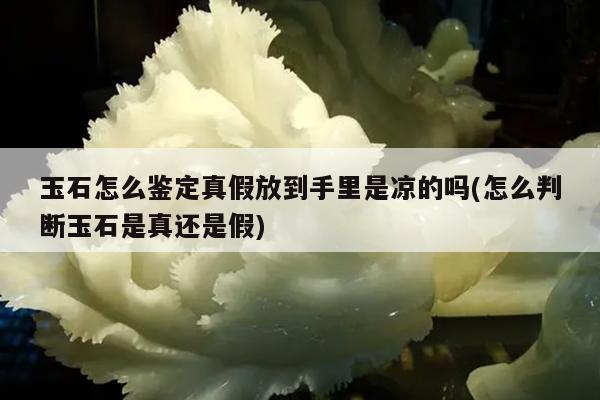 玉石怎么鉴定真假放到手里是凉的吗(怎么判断玉石是真还是假)