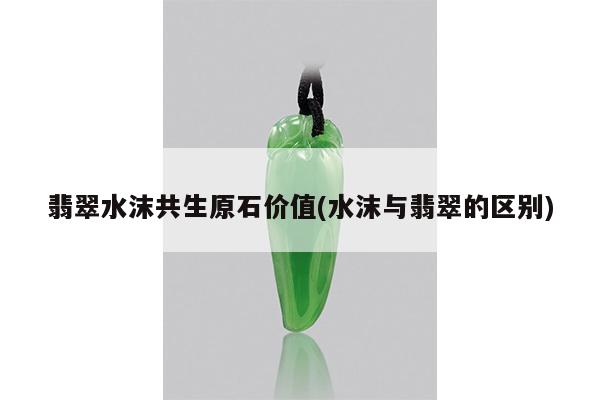 翡翠水沫共生原石价值(水沫与翡翠的区别)