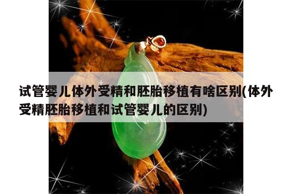 试管婴儿体外受精和胚胎移植有啥区别(体外受精胚胎移植和试管婴儿的区别)