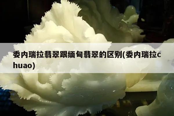委内瑞拉翡翠跟缅甸翡翠的区别(委内瑞拉chuao)