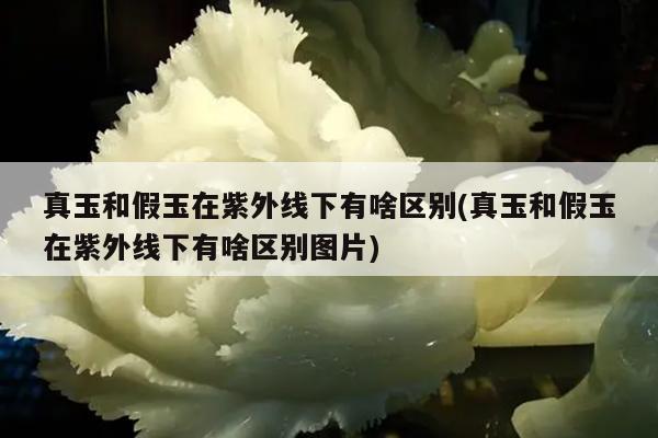 真玉和假玉在紫外线下有啥区别(真玉和假玉在紫外线下有啥区别图片)